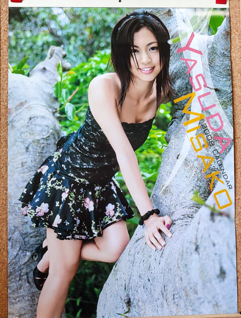 安田美沙子 2008年 カレンダー　B 2サイズ８枚綴り　未使用美品。