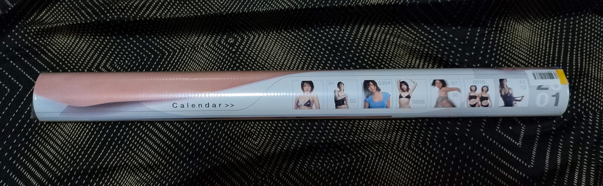 武井咲 2011年 カレンダー B2サイズ ８枚綴り。未使用美品。ハゴロモ 