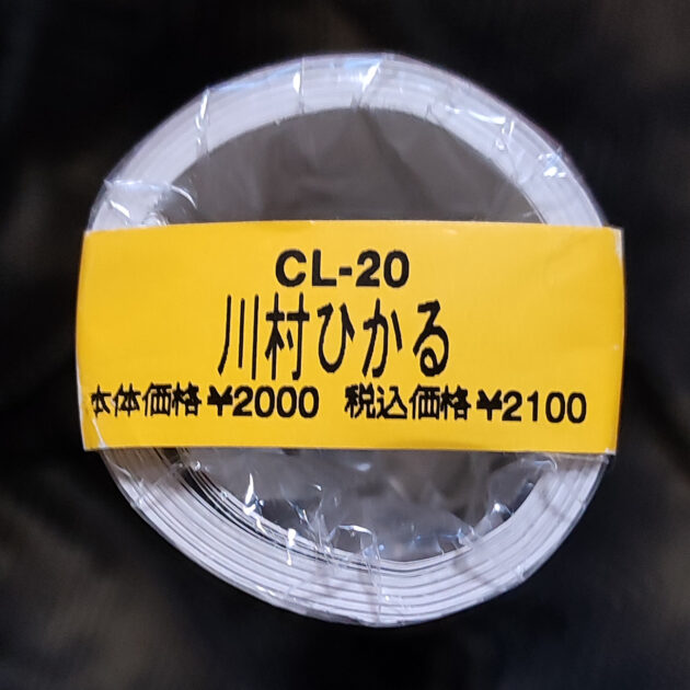 新品未開封。川村ひかる 2001年 カレンダー B2サイズ ７枚綴り。ハゴロモ TRY-X