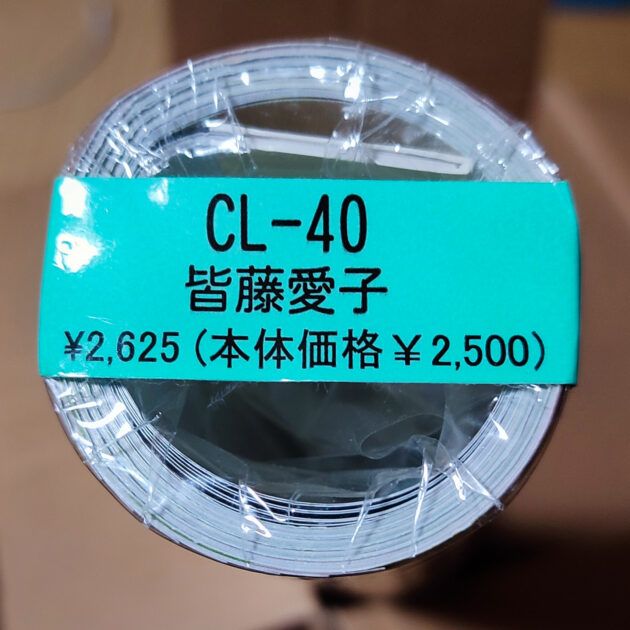 新品未開封！皆藤愛子2011年 カレンダー B2サイズ ８枚綴り。未使用美品。ハゴロモ TRY-X