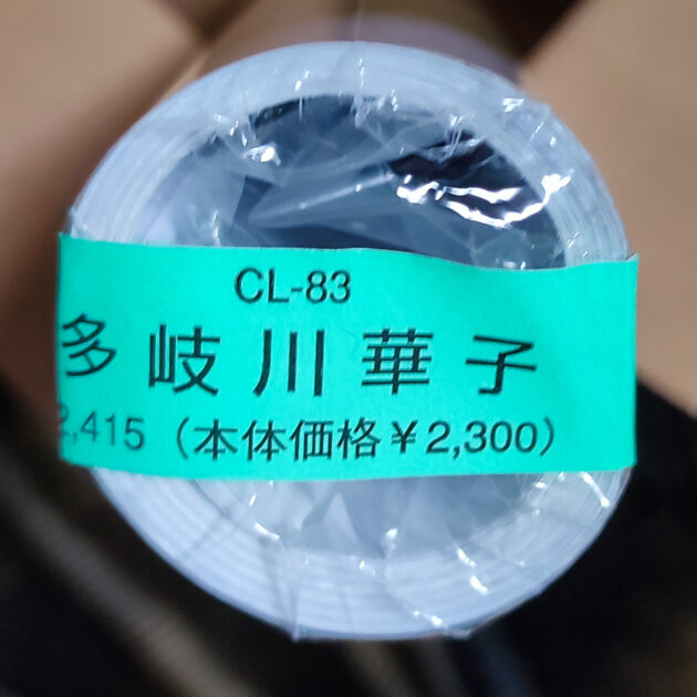 新品未開封・多岐川華子 2009年 カレンダー B2サイズ ８枚綴り。未使用美品。ハゴロモ TRY-X