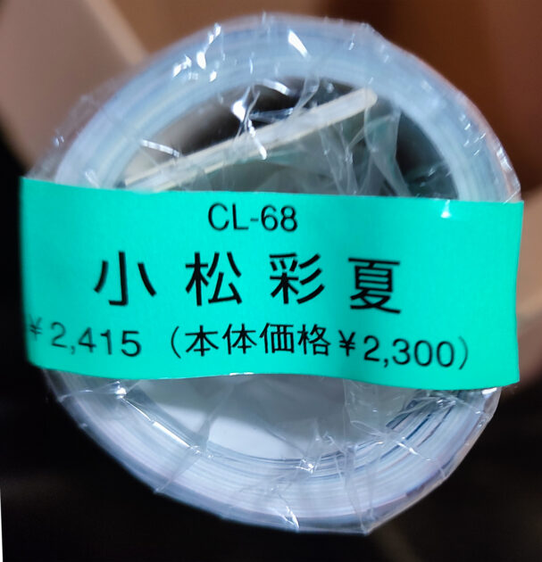 新品未開封保存品。 小松彩夏　2009年 カレンダー B2サイズ ７枚綴り。未使用美品。ハゴロモ TRY-X