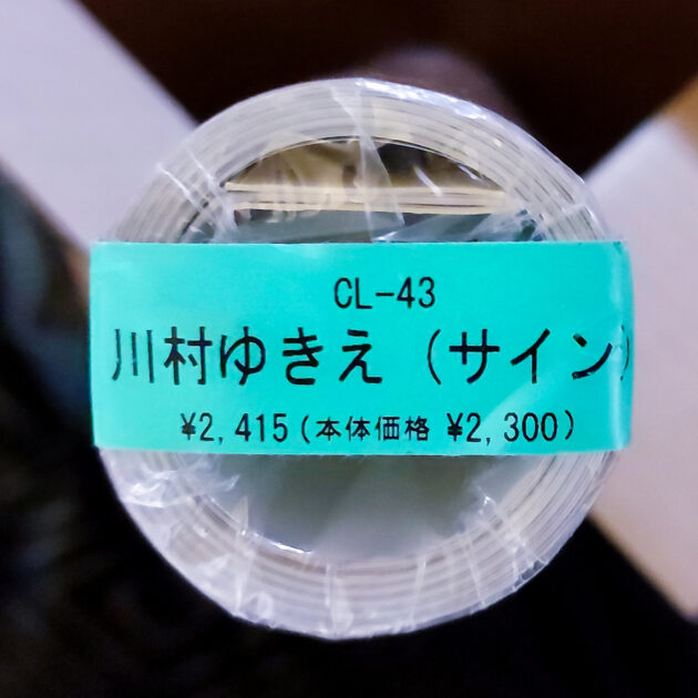 新品未開封。直筆サイン入り。川村ゆきえ2008年 カレンダー B2サイズ ８枚綴り。未使用美品。ハゴロモ TRY-X