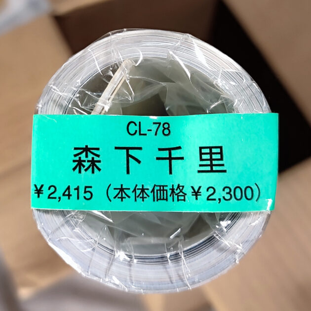 新品未開封！森下千里 2009年 カレンダー B2サイズ ８枚綴り。未使用美品。ハゴロモ TRY-X