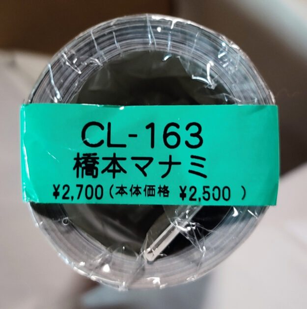 橋本マナミ 2017年カレンダー B2サイズ ８枚綴り。新品未開封。ハゴロモ TRY-X