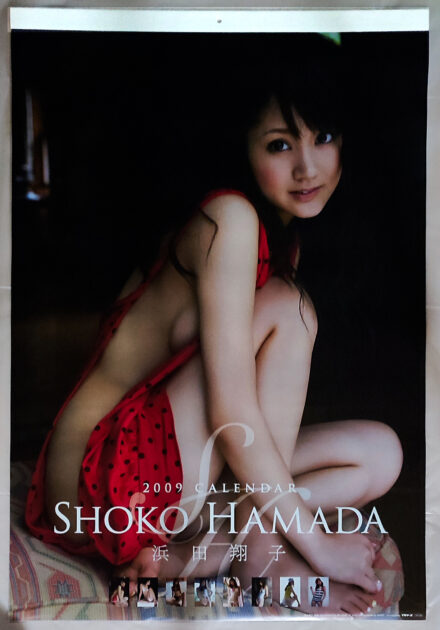浜田翔子 2009年 カレンダー B2サイズ ８枚綴り。未使用品。ハゴロモ TRY-X